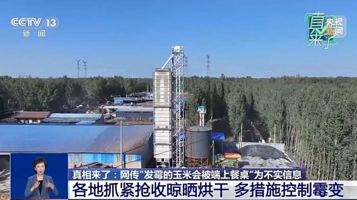 “发霉玉米被端上餐桌”消息不实 毒素超标会被销毁