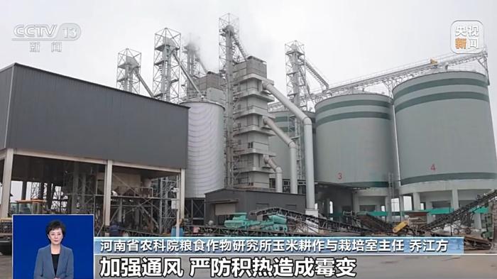 “发霉玉米被端上餐桌”消息不实 毒素超标会被销毁