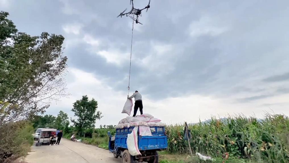 连阴雨袭扰秋收季 全国多地抢收保秋粮
