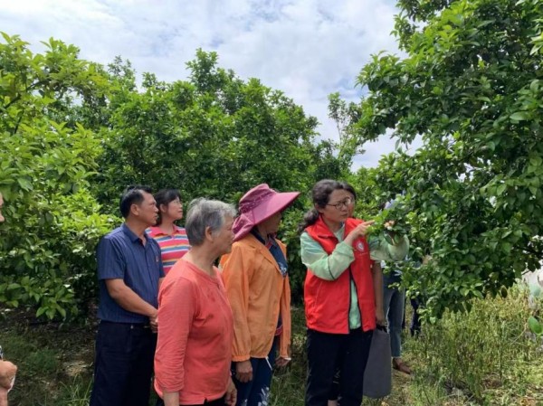 广西：知心“桂姐姐”，服务暖万家