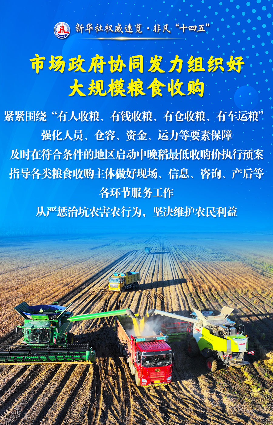 非凡“十四五”丨粮食流通改革发展，五年成绩单来了！