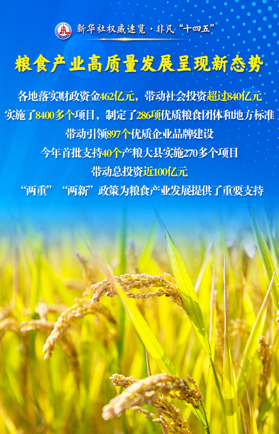 非凡“十四五”丨粮食流通改革发展，五年成绩单来了！
