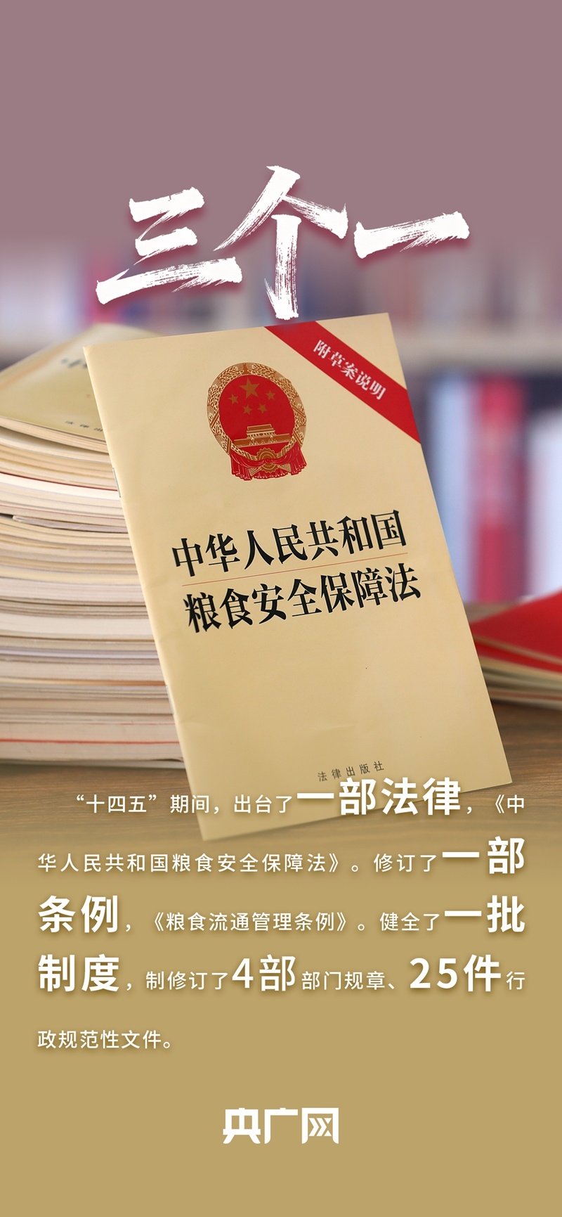 数读“十四五”答卷丨年均收购量超4亿吨！一组数据读懂如何守住、管好“大国粮仓”
