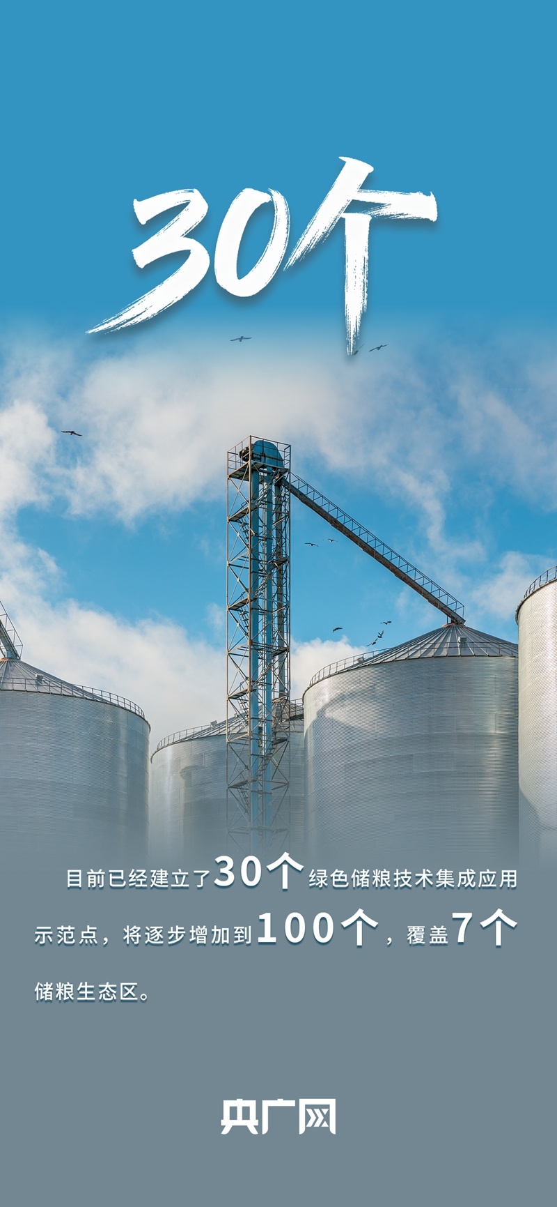 数读“十四五”答卷丨年均收购量超4亿吨！一组数据读懂如何守住、管好“大国粮仓”