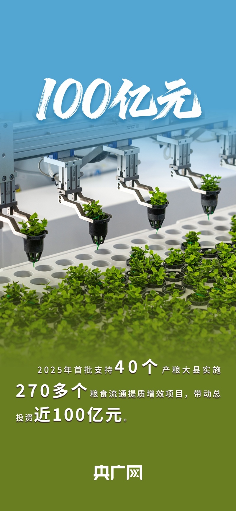 数读“十四五”答卷丨年均收购量超4亿吨！一组数据读懂如何守住、管好“大国粮仓”