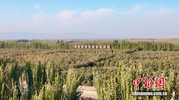 读懂中国·阿克苏的甜蜜故事｜三代坚守，柯柯牙如何让荒漠变“金山”？