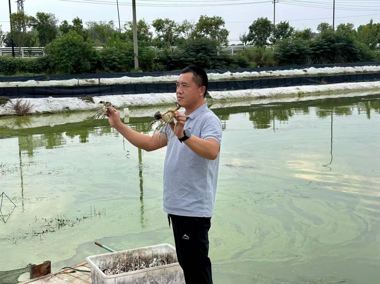 【高质量发展中国行·新时代的气象万千】精细化气象服务为大闸蟹养殖“支招”