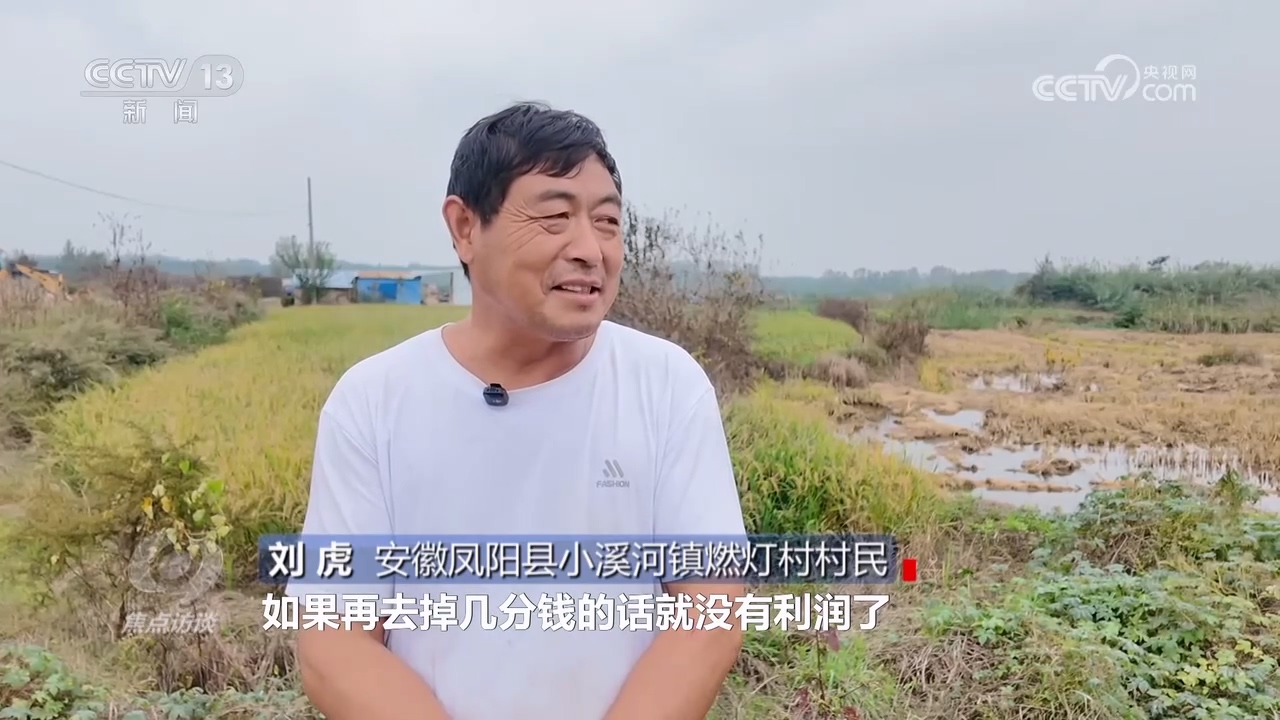 焦点访谈｜秋粮抢收抢烘 这场“保卫战”如何打好？