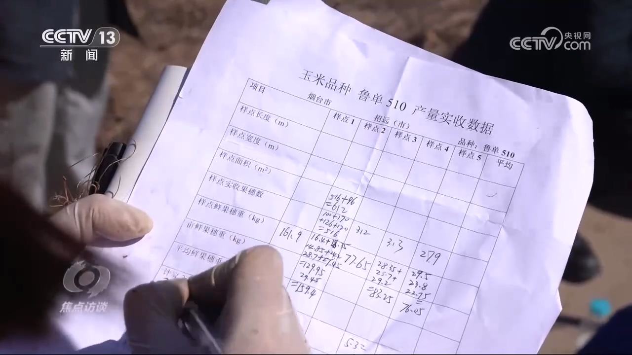 焦点访谈｜秋粮抢收抢烘 这场“保卫战”如何打好？