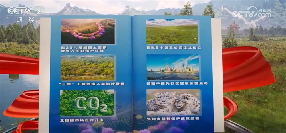 “十四五”对账单｜美丽中国建设迈出重大步伐 “绿水青山”绘就生态画卷