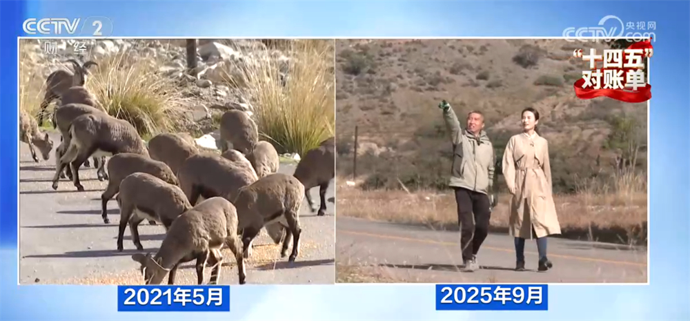 “十四五”对账单｜美丽中国建设迈出重大步伐 “绿水青山”绘就生态画卷