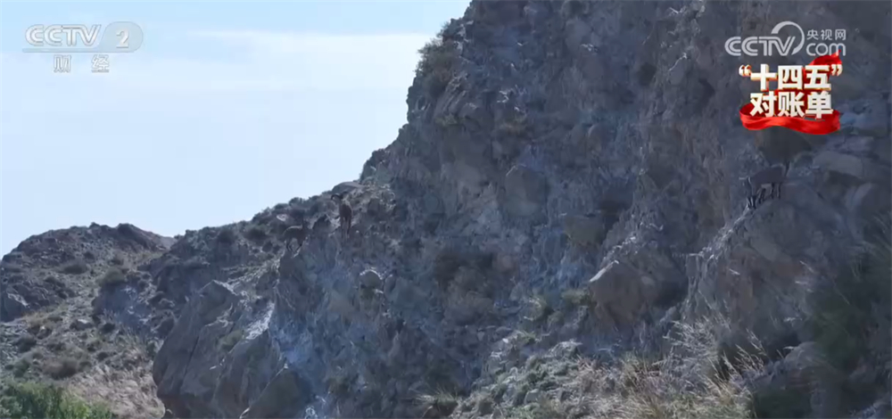 “十四五”对账单｜美丽中国建设迈出重大步伐 “绿水青山”绘就生态画卷