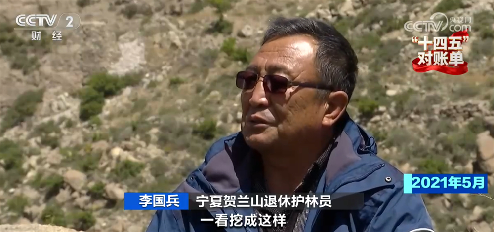“十四五”对账单｜美丽中国建设迈出重大步伐 “绿水青山”绘就生态画卷
