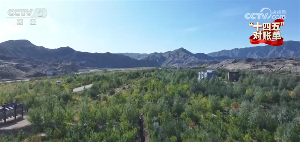 “十四五”对账单｜美丽中国建设迈出重大步伐 “绿水青山”绘就生态画卷