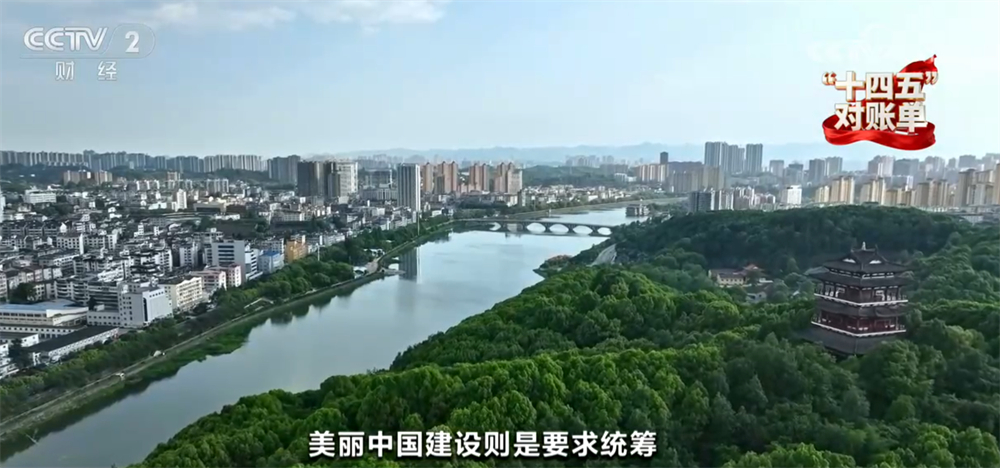 “十四五”对账单｜美丽中国建设迈出重大步伐 “绿水青山”绘就生态画卷