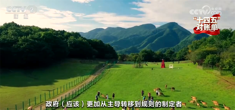 “十四五”对账单｜美丽中国建设迈出重大步伐 “绿水青山”绘就生态画卷