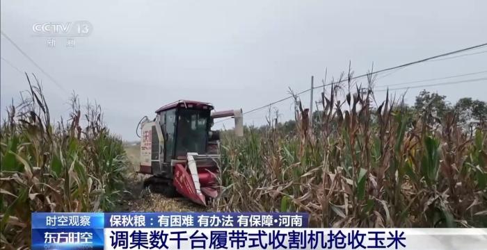 降温降雨对秋收有何影响？各地保秋粮有困难也有办法
