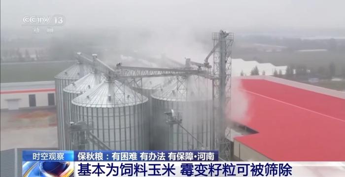 降温降雨对秋收有何影响？各地保秋粮有困难也有办法