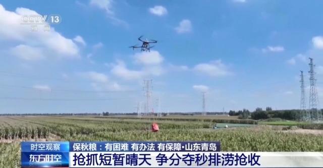 降温降雨对秋收有何影响？各地保秋粮有困难也有办法