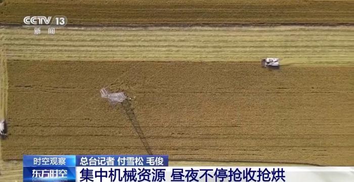 降温降雨对秋收有何影响？各地保秋粮有困难也有办法