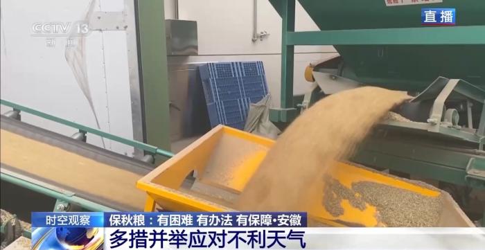 降温降雨对秋收有何影响？各地保秋粮有困难也有办法