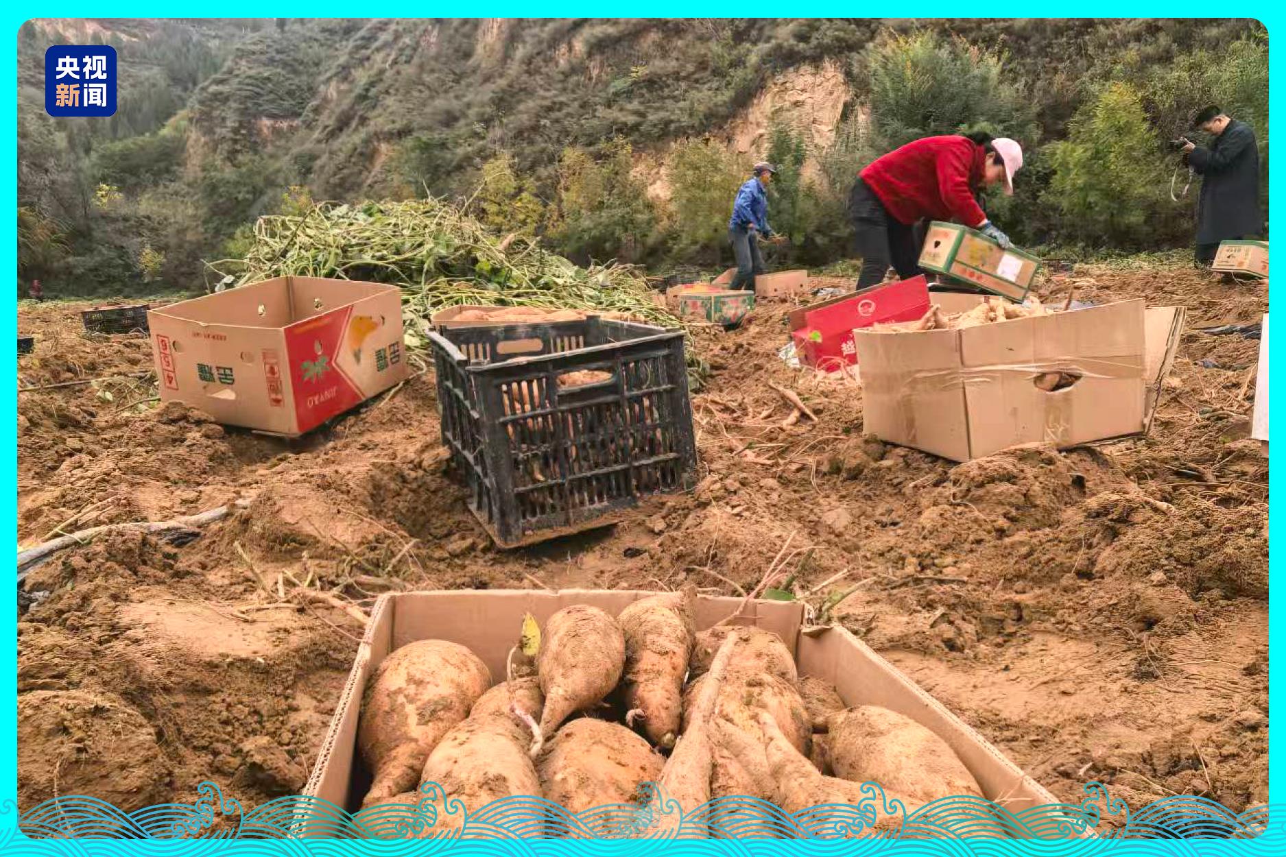 行走江河看中国丨水润三秦 看陕西如何碧波织锦