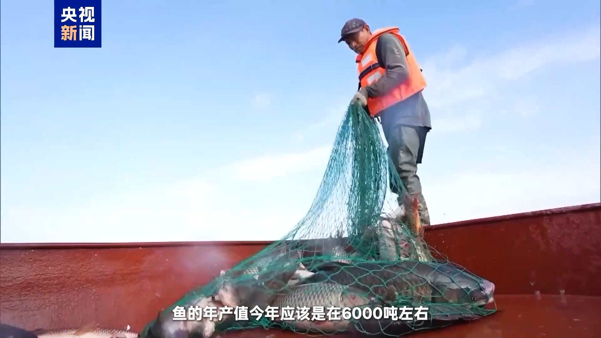 新疆如何变成“塞上江南”？看博斯腾湖逆袭记