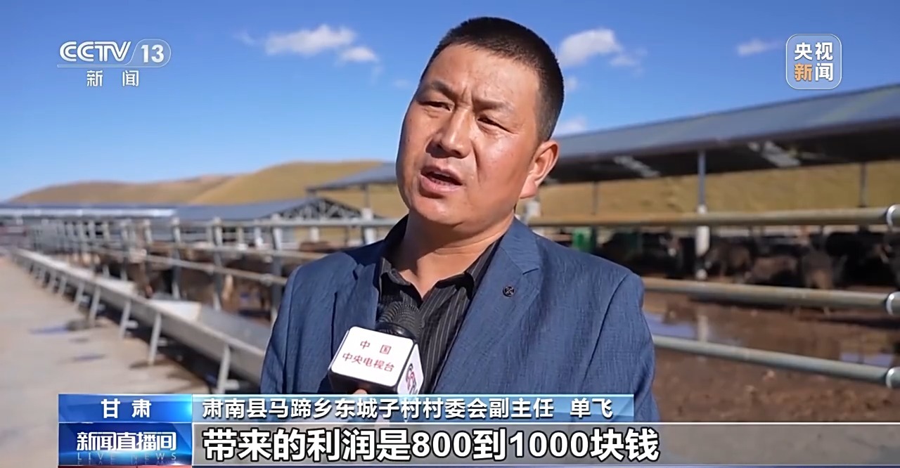 65万牛羊异地过冬 借牧双方资源互补催生产业新模式