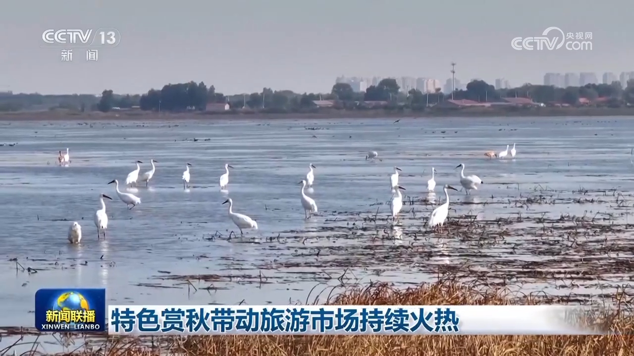 特色赏秋带动旅游市场持续火热