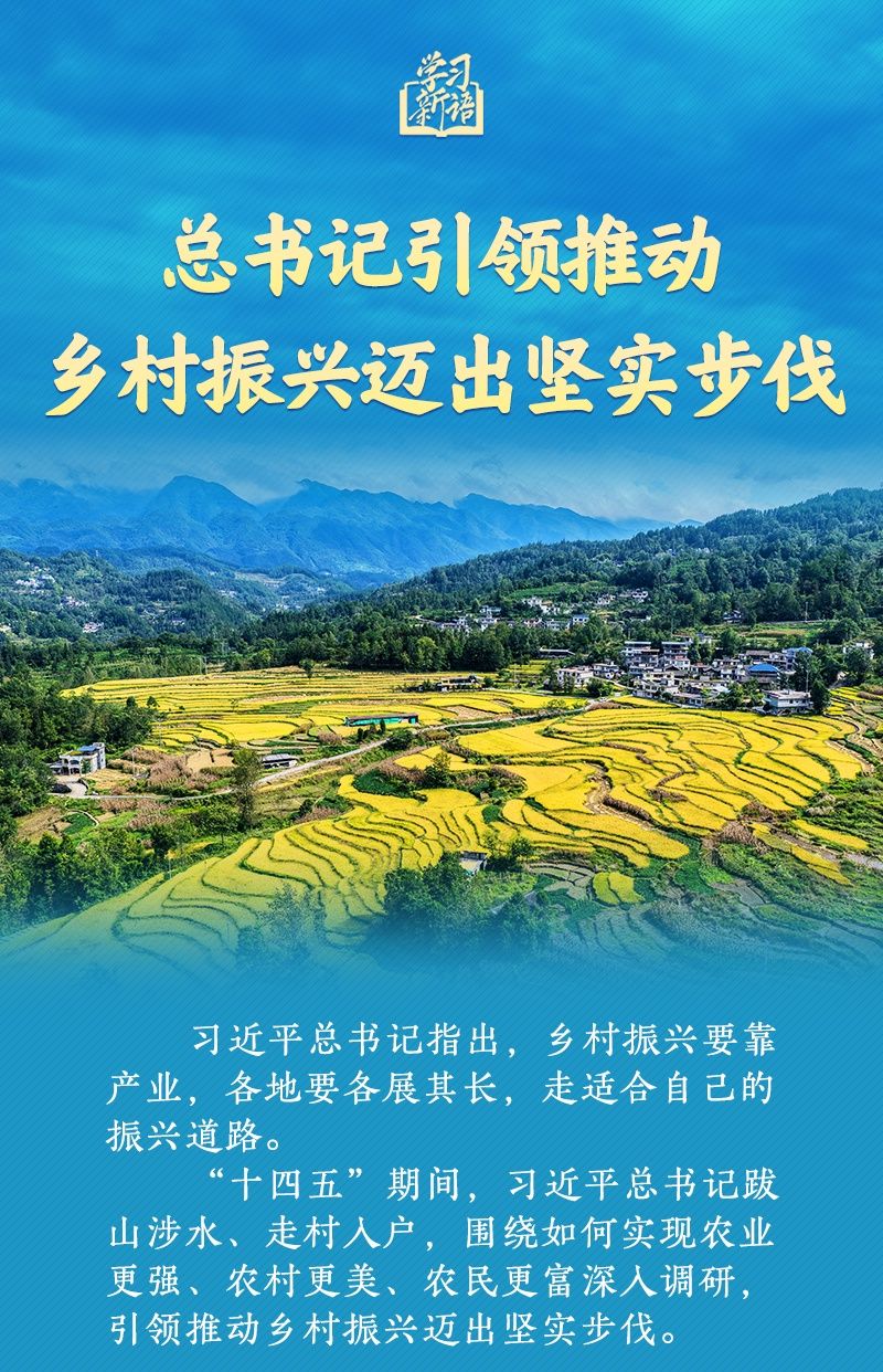学习新语丨总书记引领推动乡村振兴迈出坚实步伐