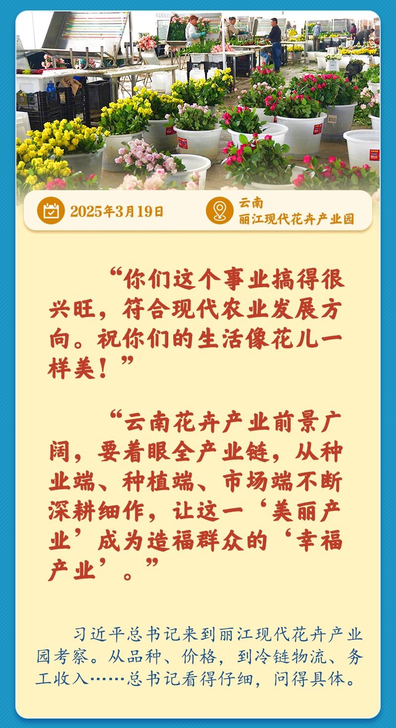 学习新语丨总书记引领推动乡村振兴迈出坚实步伐