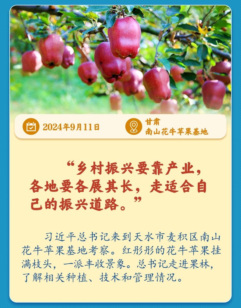 学习新语丨总书记引领推动乡村振兴迈出坚实步伐