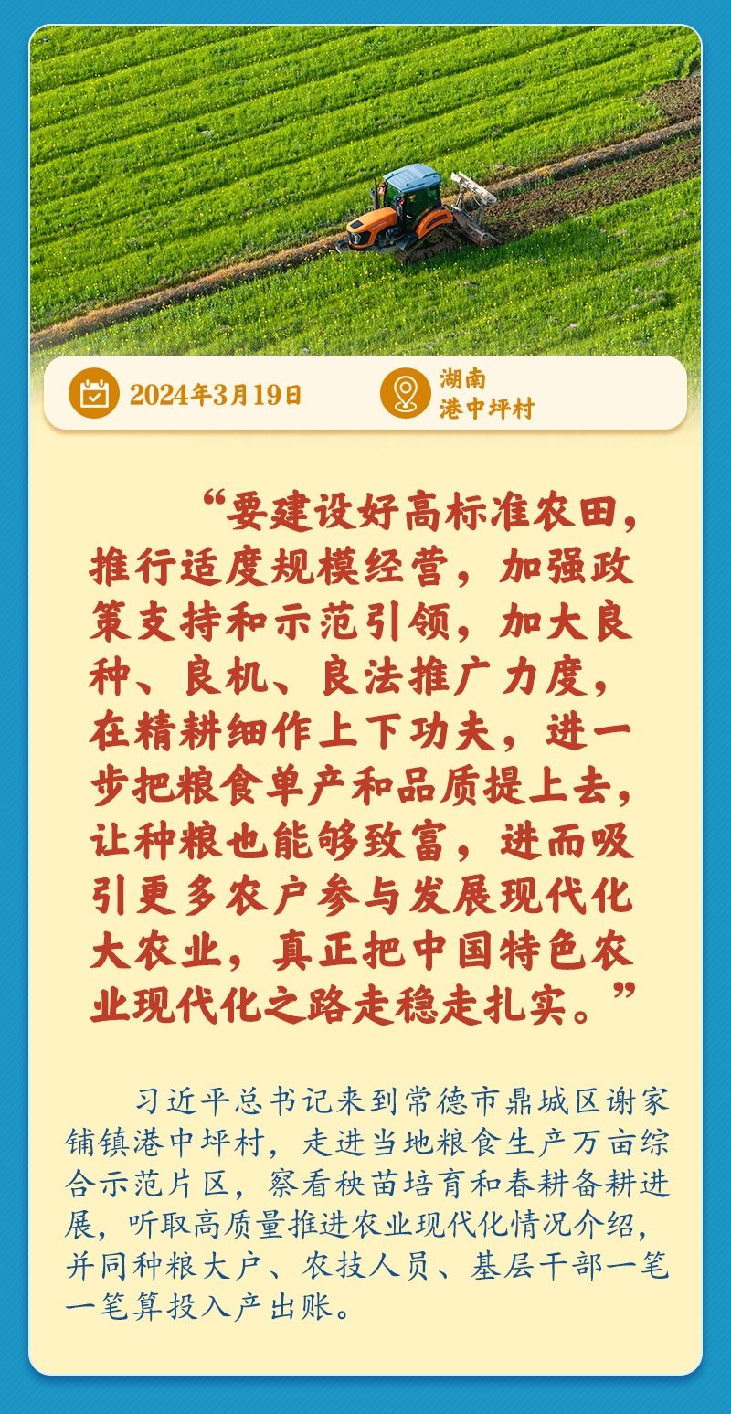 学习新语丨总书记引领推动乡村振兴迈出坚实步伐