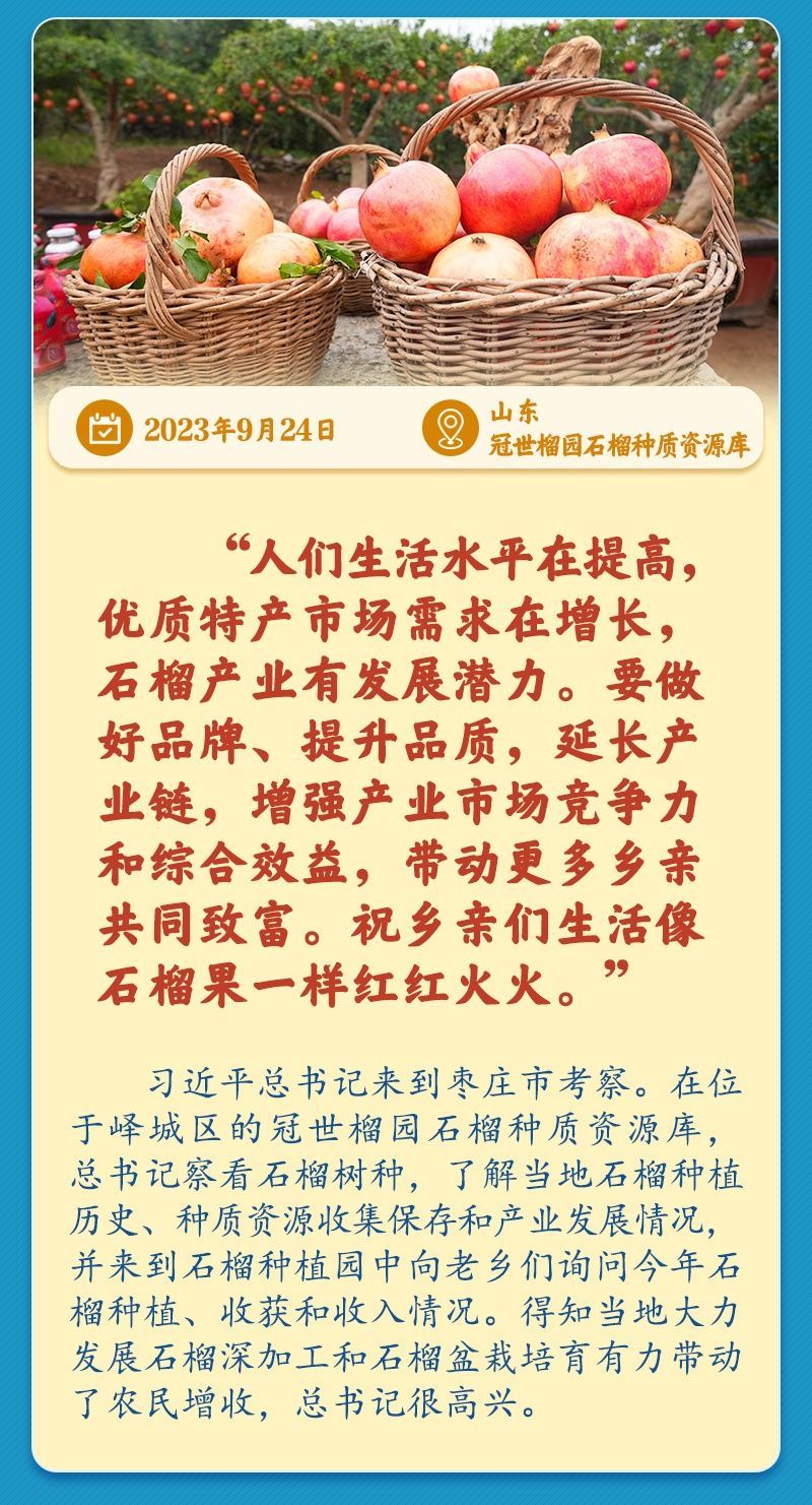 学习新语丨总书记引领推动乡村振兴迈出坚实步伐