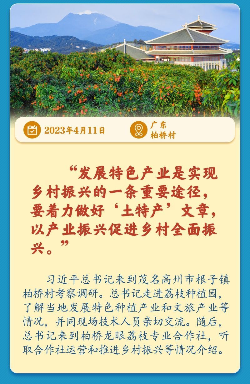 学习新语丨总书记引领推动乡村振兴迈出坚实步伐