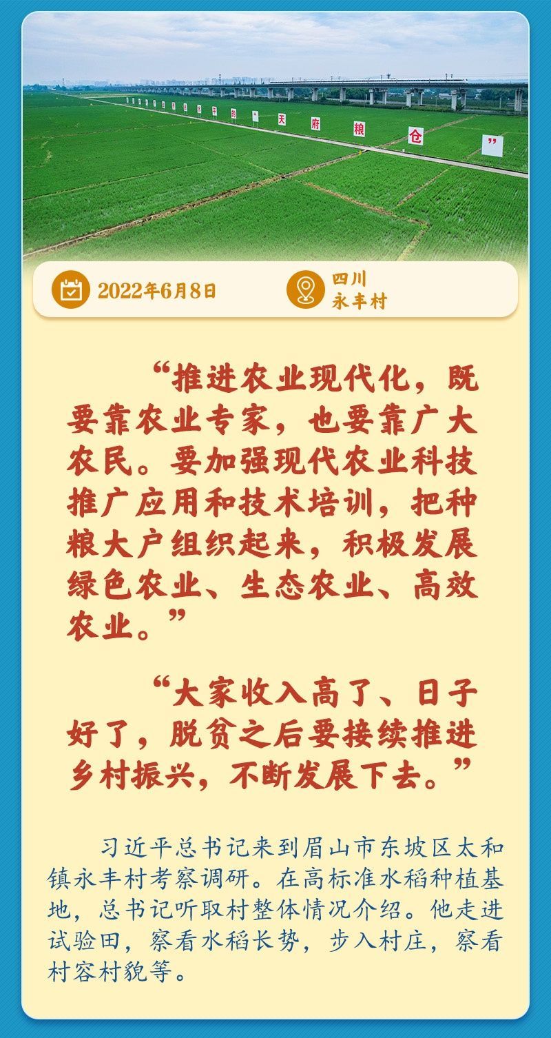 学习新语丨总书记引领推动乡村振兴迈出坚实步伐