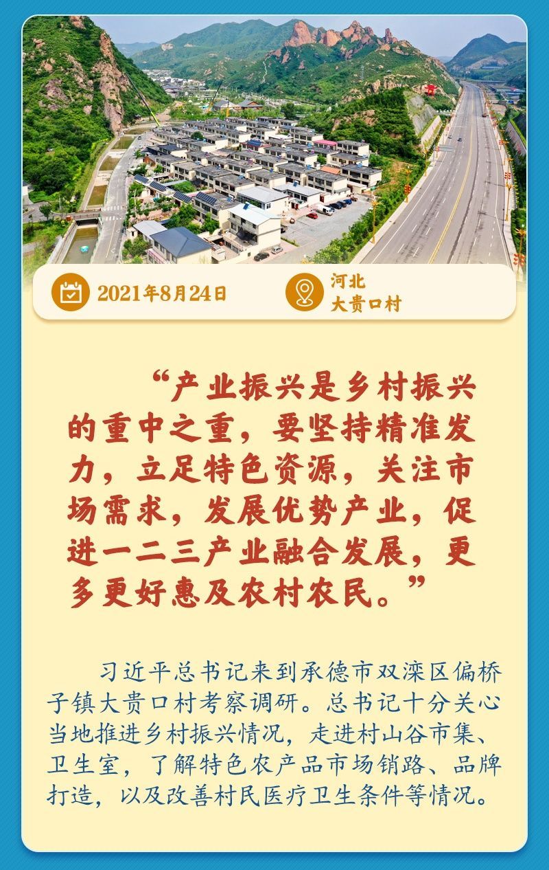 学习新语丨总书记引领推动乡村振兴迈出坚实步伐