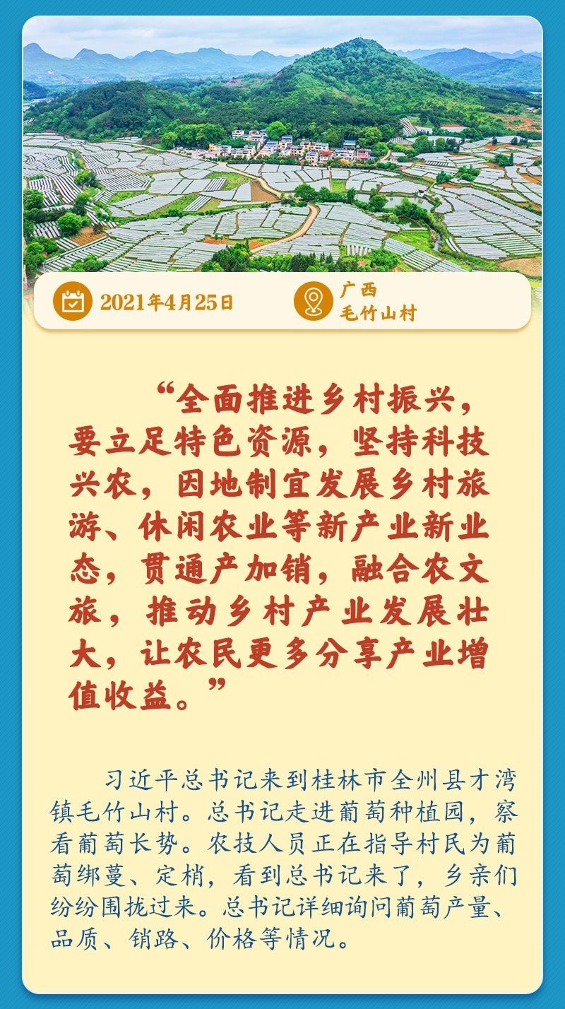 学习新语丨总书记引领推动乡村振兴迈出坚实步伐