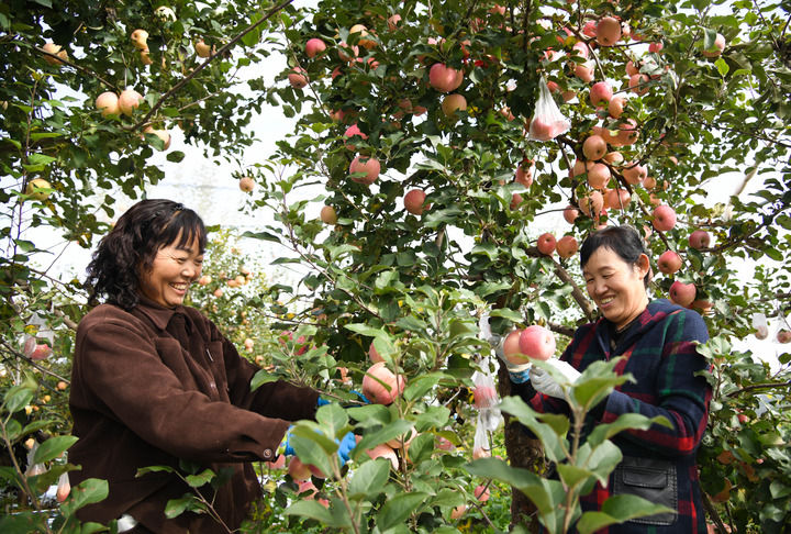 新华鲜报·“十四五”亮点|年收入约18万亿元！乡村产业绘新貌