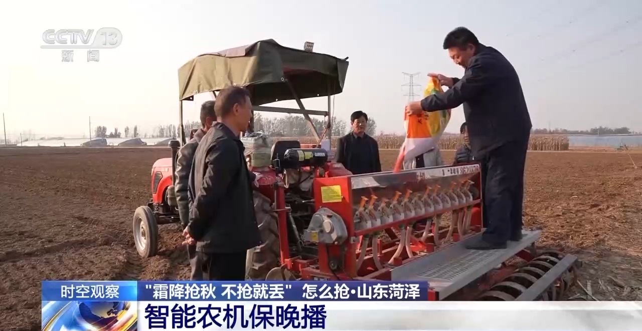 晚播小麦如何保产量？霜降抢秋该怎么抢？专家分析