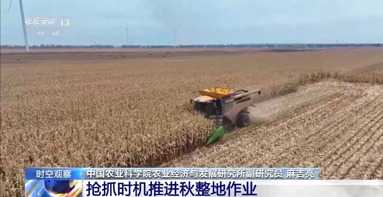 晚播小麦如何保产量？霜降抢秋该怎么抢？专家分析