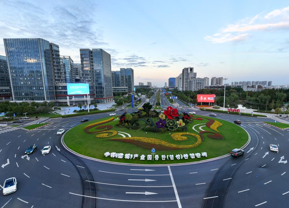 特稿丨推动战略合作伙伴关系不断向前发展——韩国各界对习近平主席国事访问充满热切期待