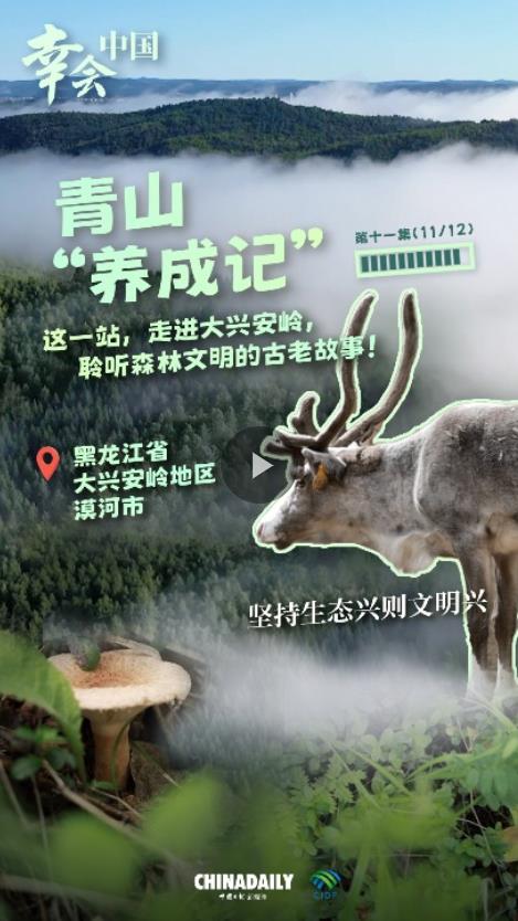 幸会中国 | 走进大兴安岭，见证生态兴文明兴的力量