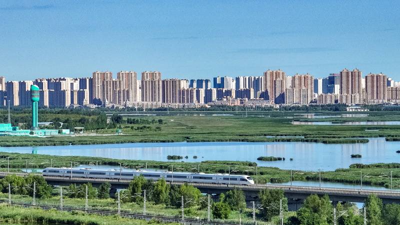 人民领袖|总书记为何说“不谈新发展理念不行” 2025年8月17日,一列动车组列车驶过大庆东站。