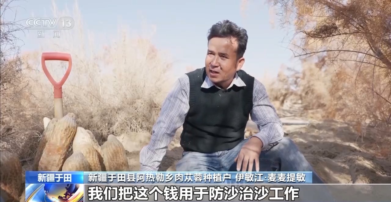 视频丨新疆肉苁蓉进入采收季 沙产业让沙漠化身“致富田”