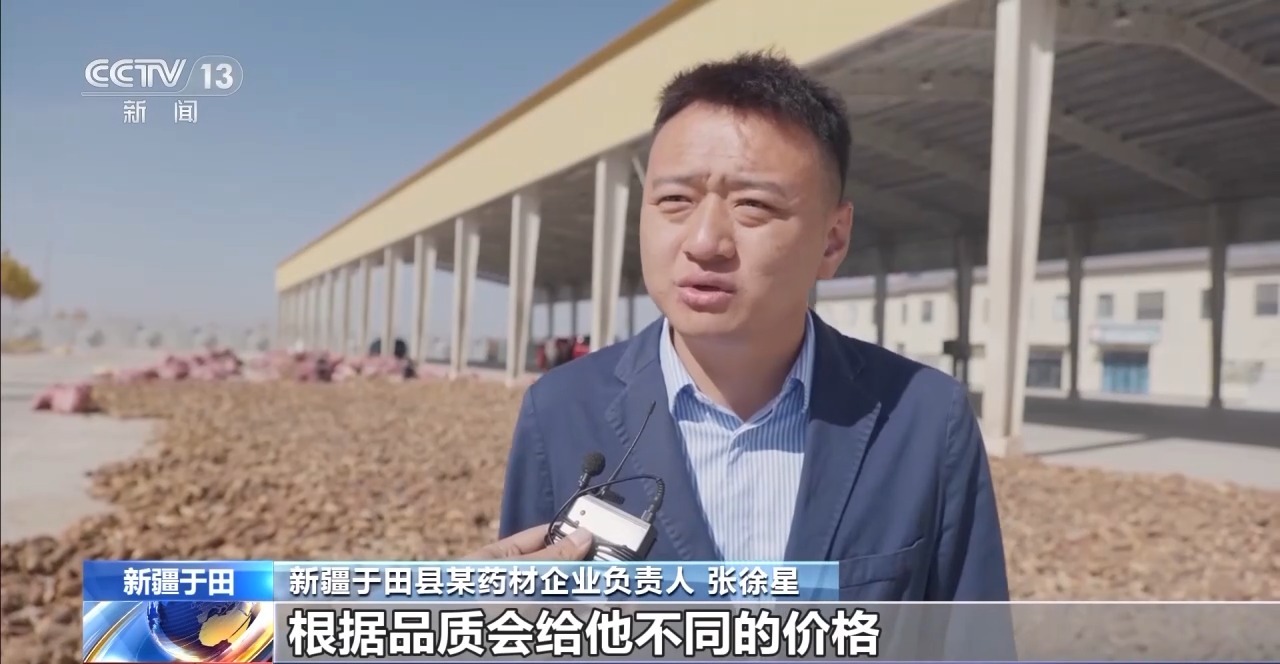 视频丨新疆肉苁蓉进入采收季 沙产业让沙漠化身“致富田”