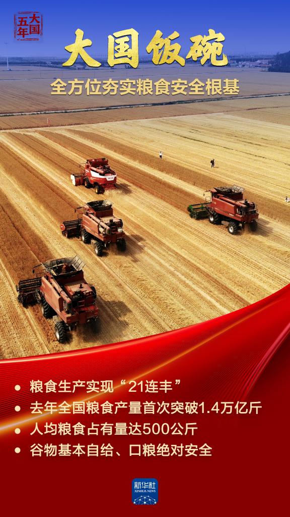 大国五年|大国饭碗,吃得好端得牢