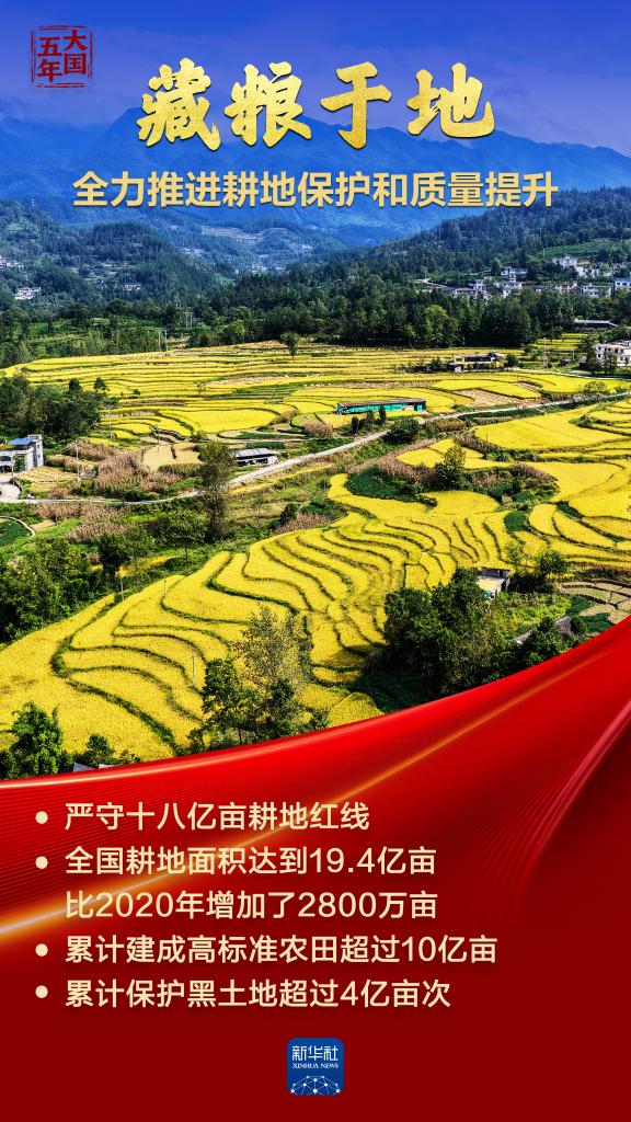 大国五年|大国饭碗,吃得好端得牢