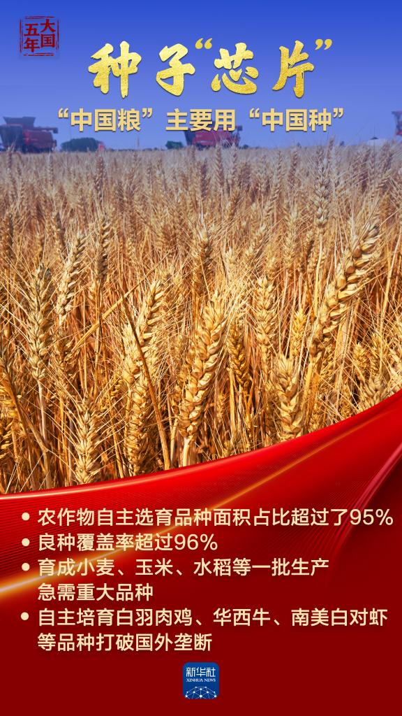 大国五年|大国饭碗,吃得好端得牢