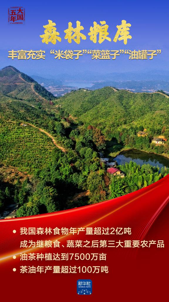 大国五年|大国饭碗,吃得好端得牢